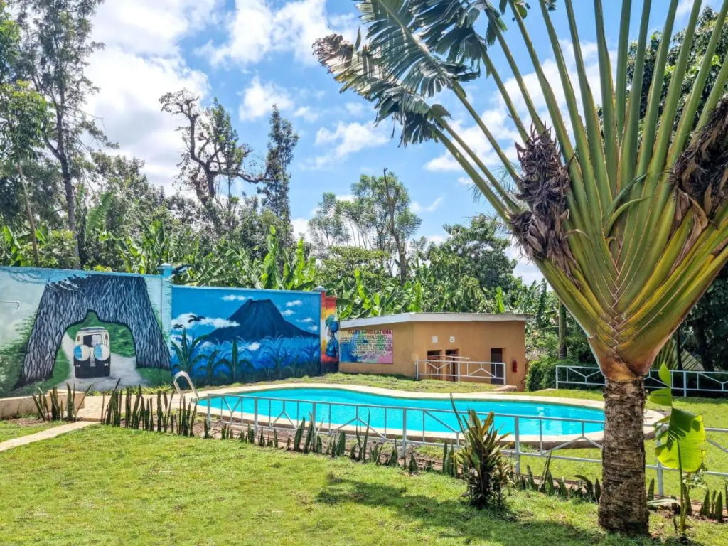 Africa Safari Arusha