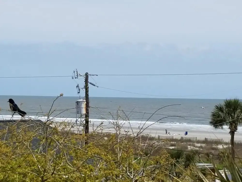 E Ashley A 121 4 Bedroom Holiday Home By My Ocean Rentals