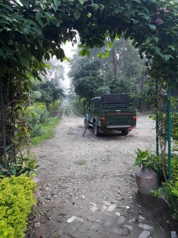 Shuklaphanta Jungle Cottage