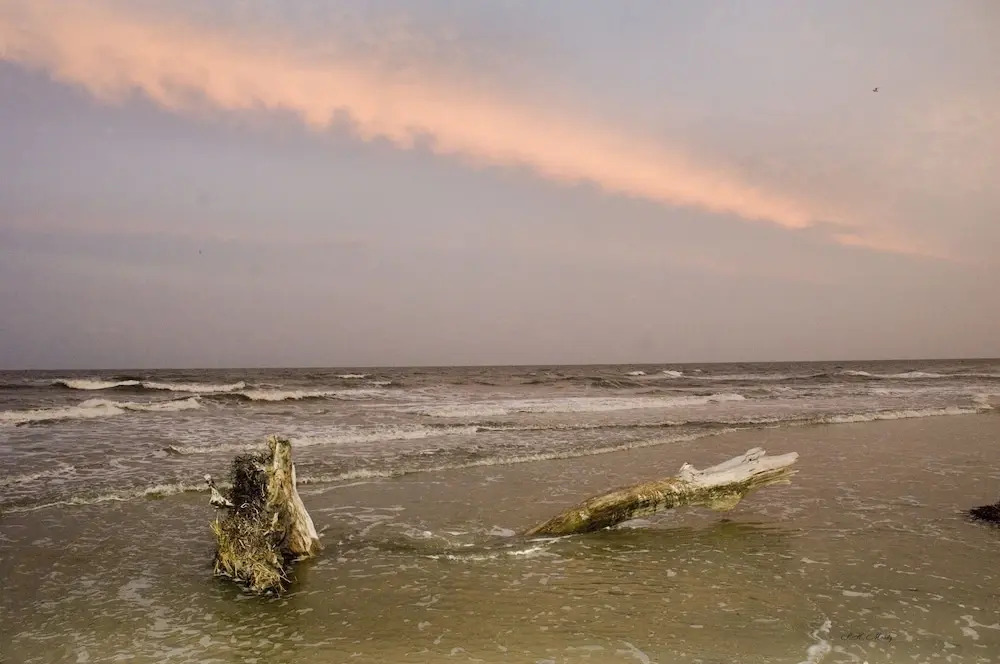 Spacious Condo in the Heart of Hilton Head