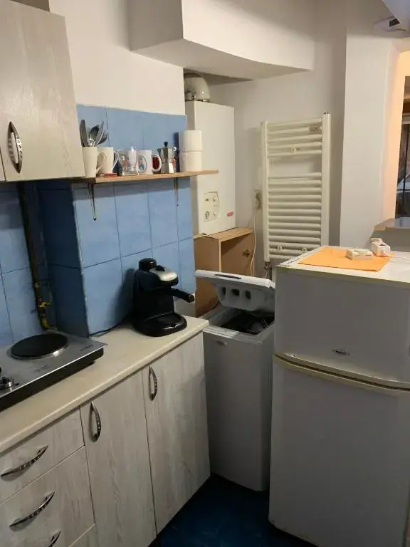 Ultracentral Lozonschi Apartament