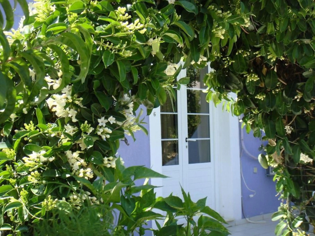 Villa Eliza