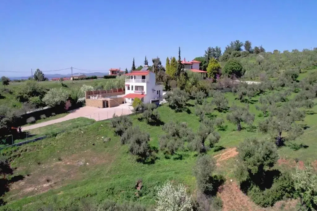 Villa Lion