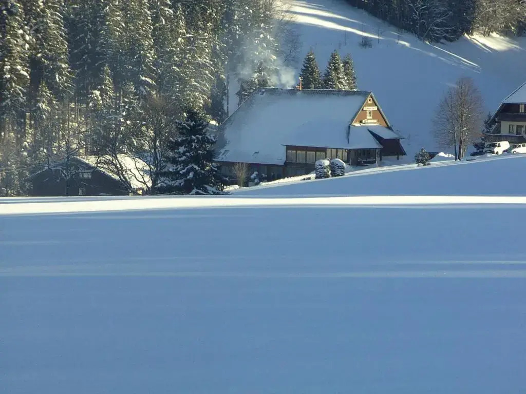Hotel ThälerHäusle mit Schwimmbad
