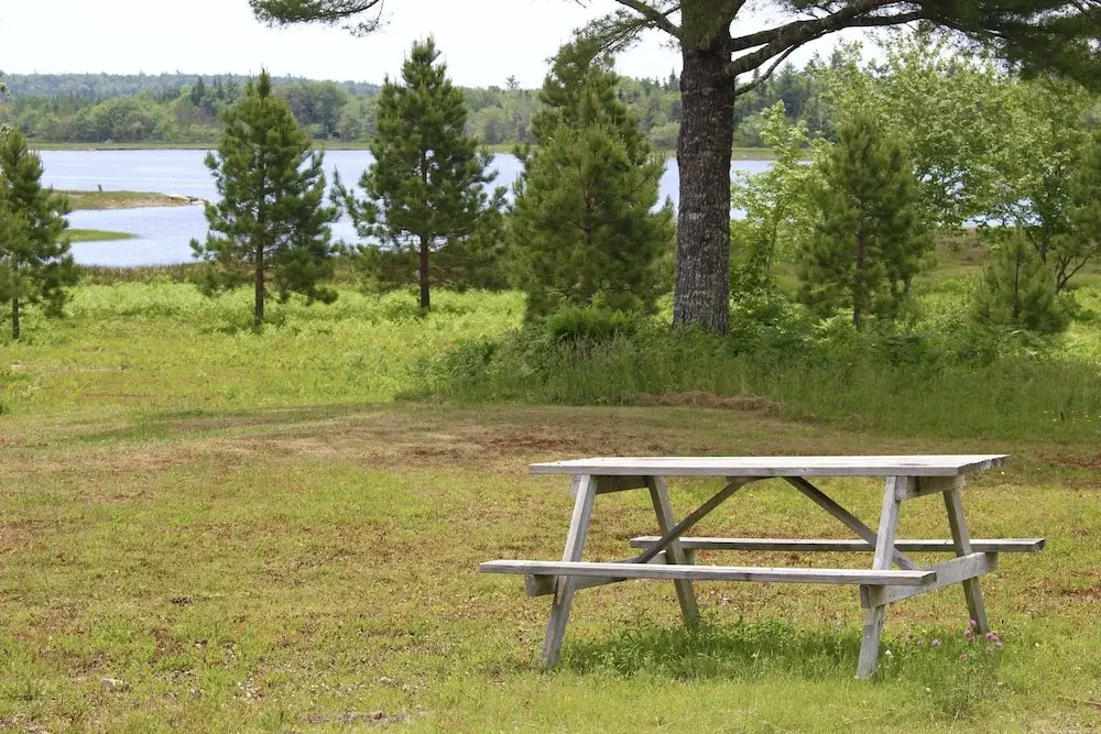 1 and Only Riverside Accommodations
