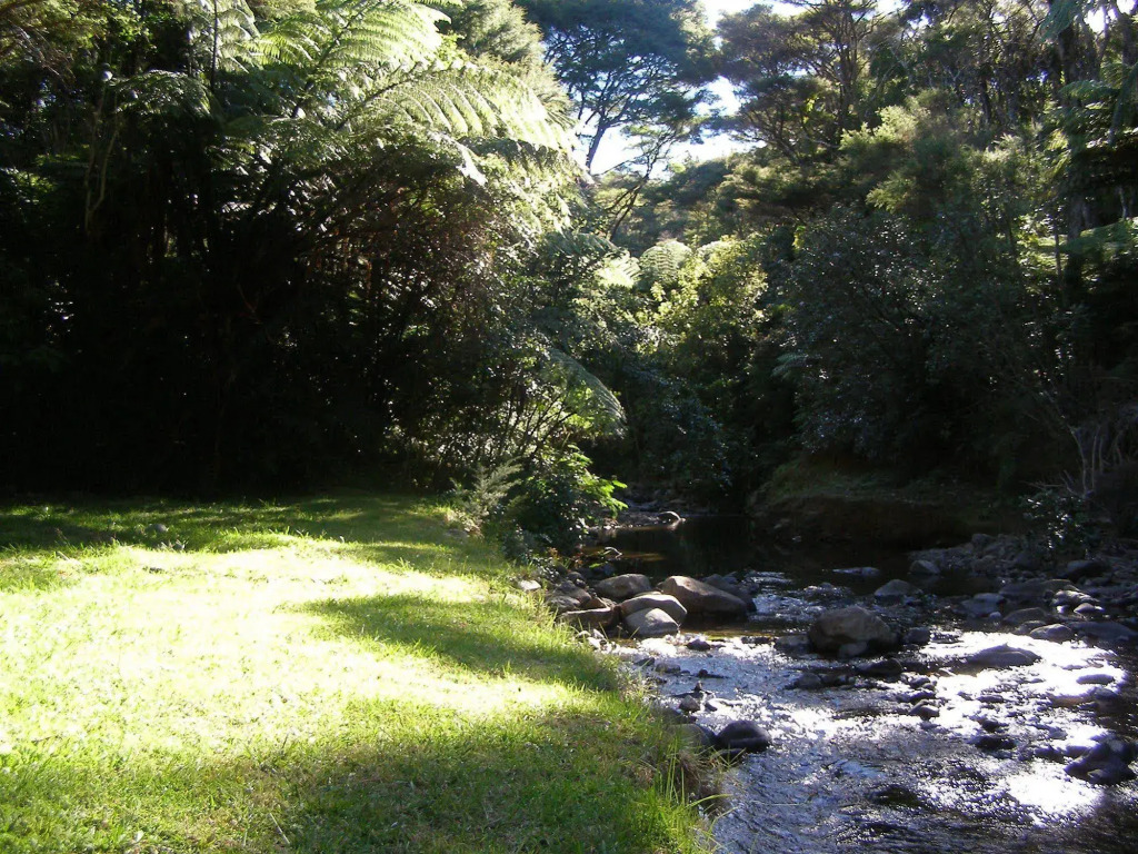 Tangiaro Kiwi Retreat