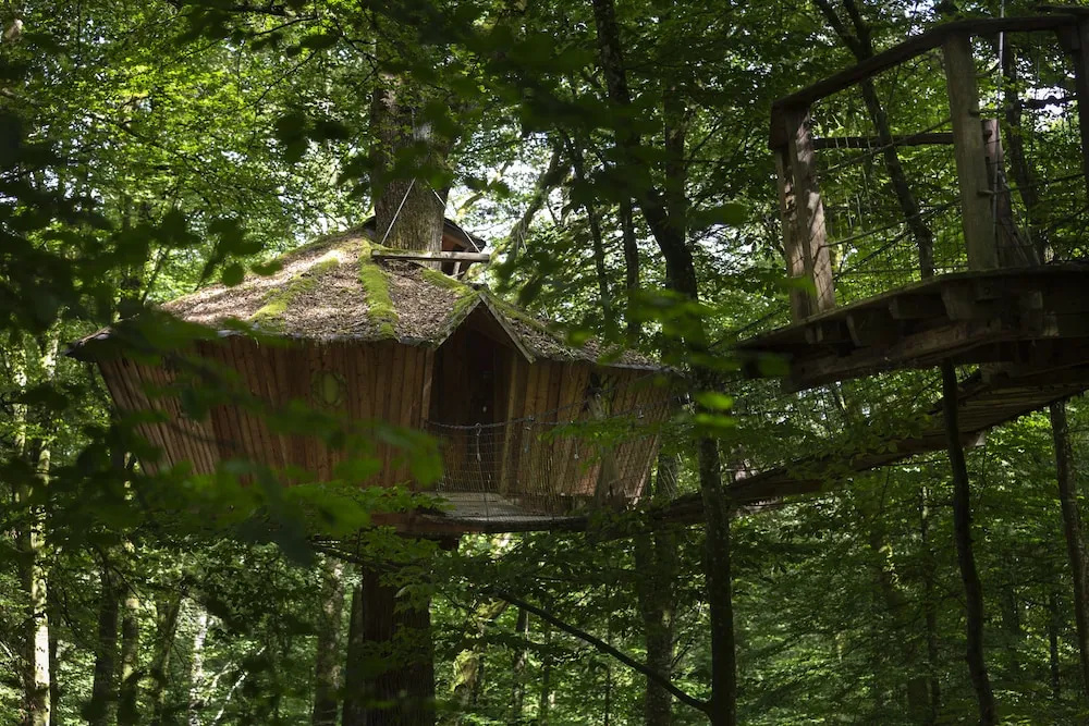 LArbre à Cabane