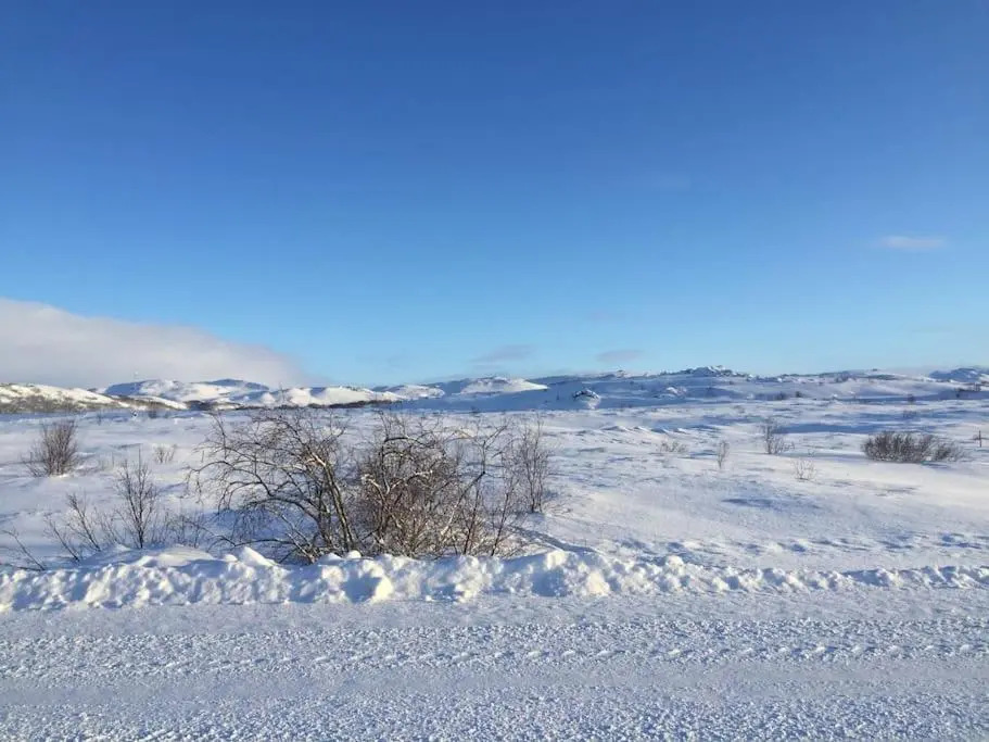Slow Travel Mývatn - Ólis Homestay-Private house v