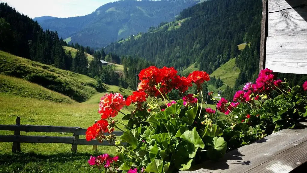 Selbstversorgerhütte Nösslau Alm