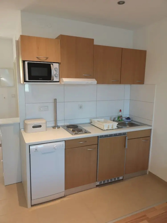 Apartments Slava
