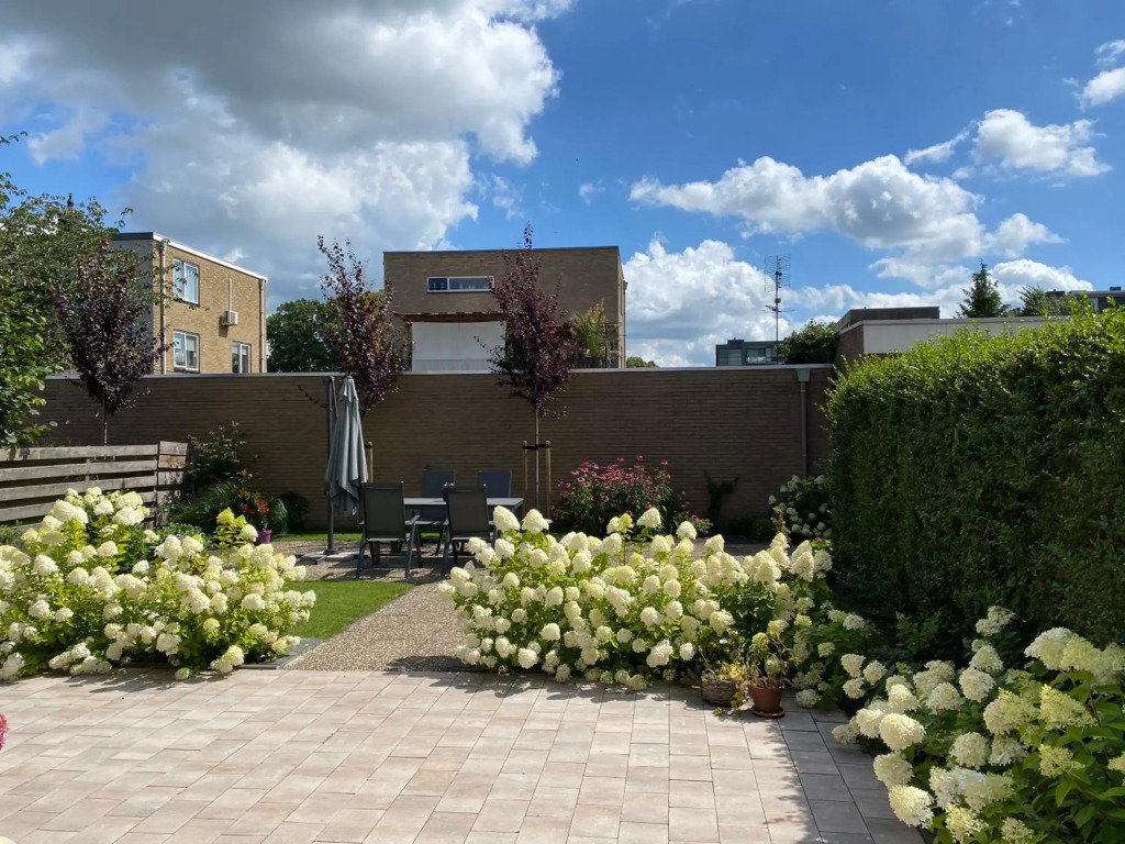 Studio Brinkstraat