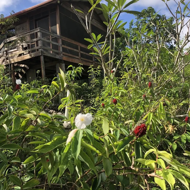 Santa Cruz Cabins