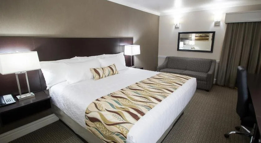 University Inn