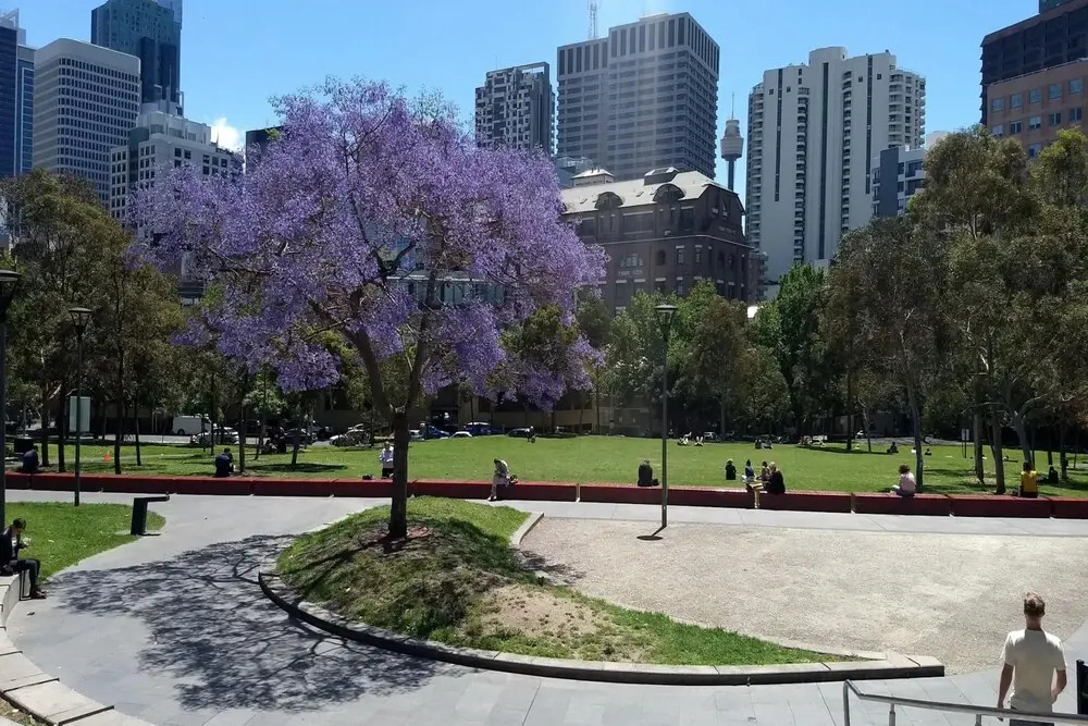 Executive Couples Suite Strand