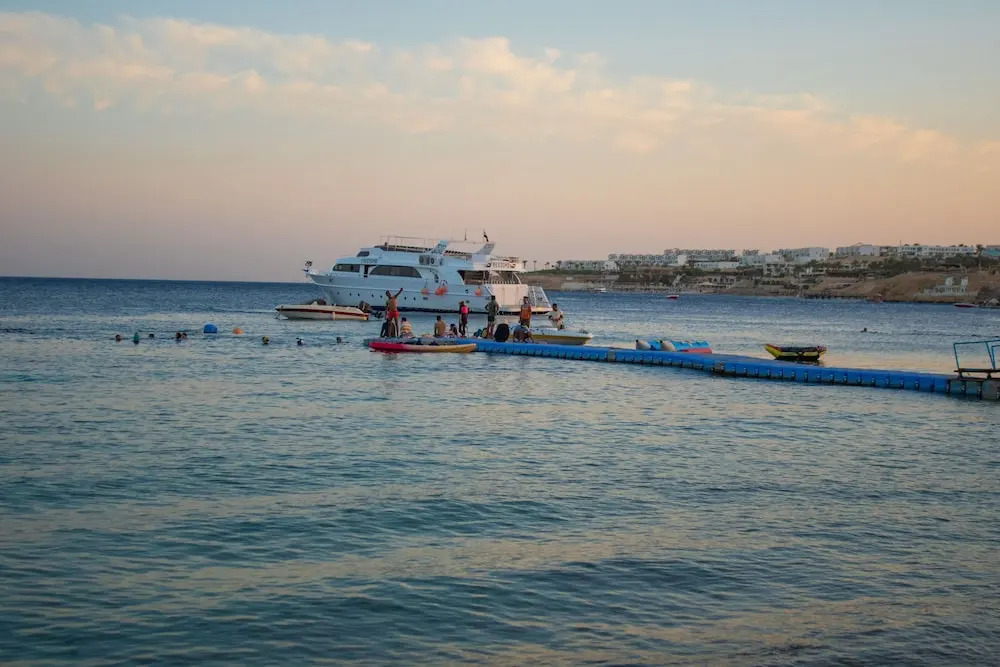 Sharks Bay Hotel & Padi Butterfly