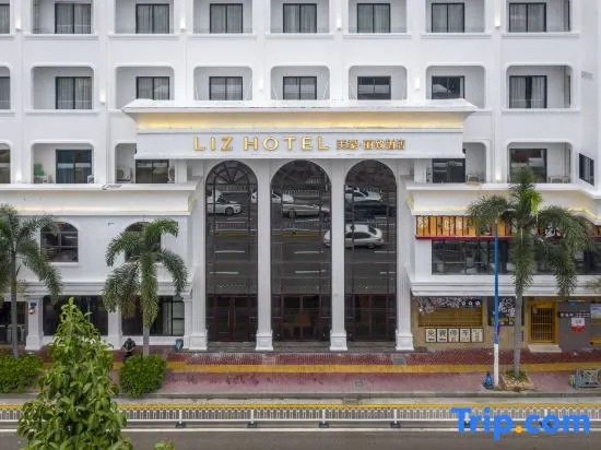 LIZ International Hotel Panyu Ginza Shiqiao Metro Station Branch