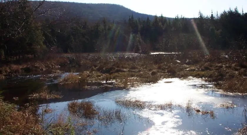 Moon Shadow Lodge
