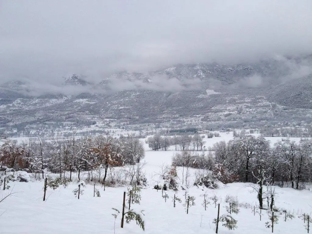 Tenuta Castelli