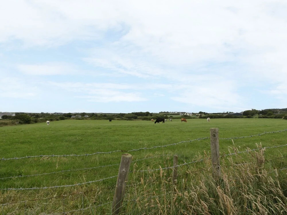 Tyn Rhos