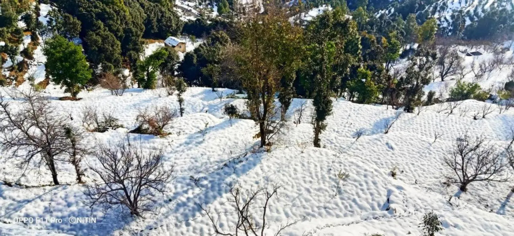 Jaishnavi Homestay - Mukteshwar