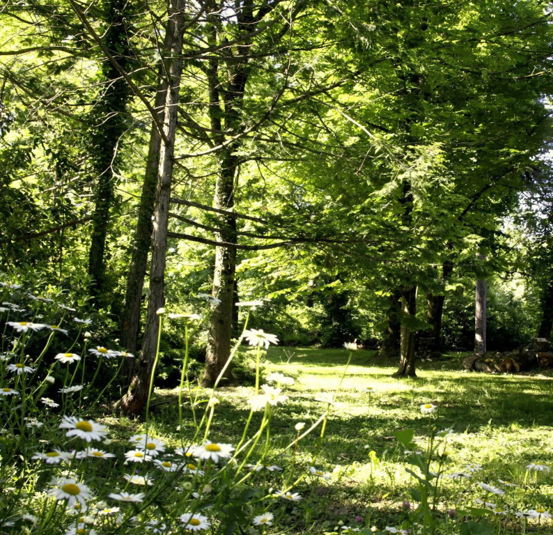 Domaine de Rasigous