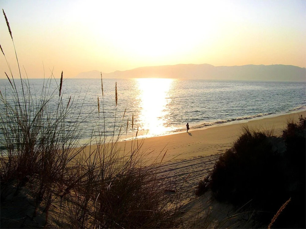 Apartment With one Bedroom in Troia, With Enclosed Garden - Near the Beach