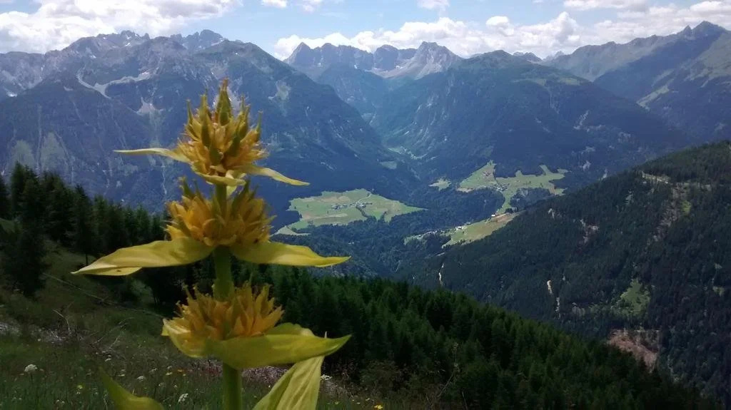 Gasthof zum Löwen