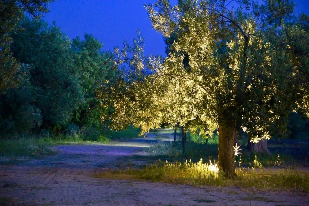 Piri Reis Motel & Restaurant