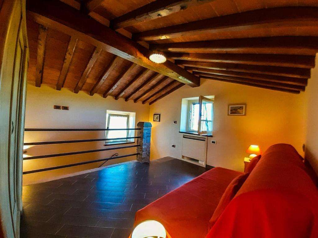 Selva degli Ulivi