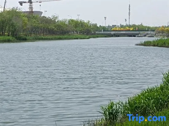 Tianjin Redwood Tree Hotel Apartment (Tuanbo Resort University of Traditional Chinese Medicine)
