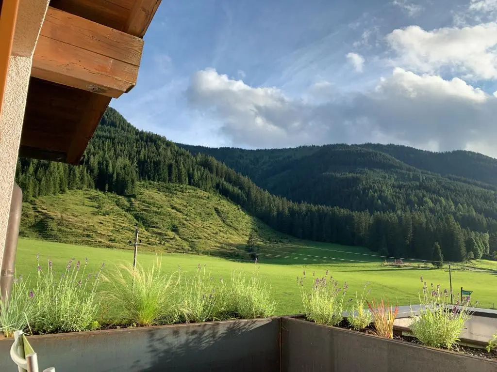 Die Filzmooserin - smart living apartments in Ski amadé, Filzmoos Card inklusive