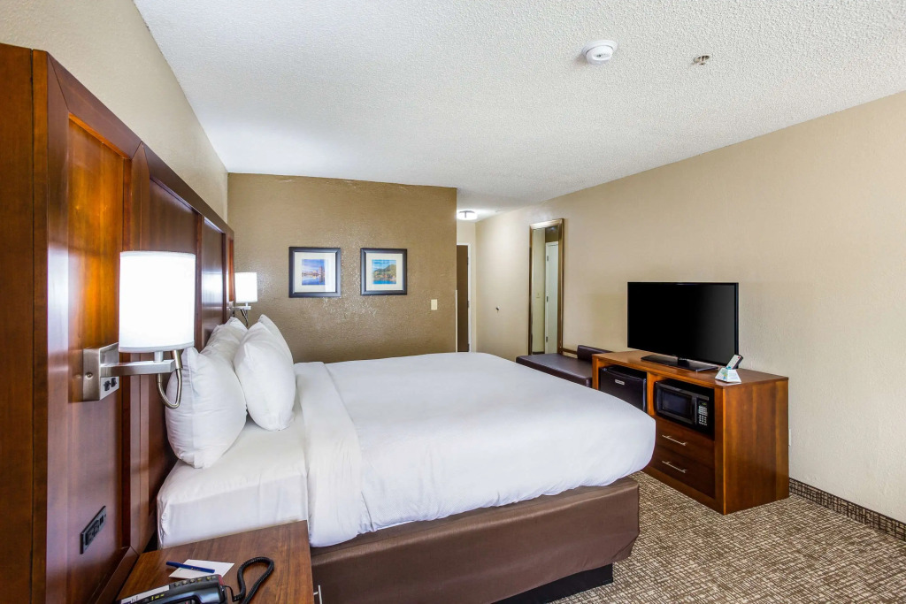 Comfort Inn Charleston South
