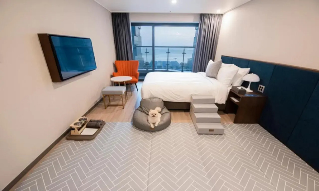 Guest House 601 - Hostel