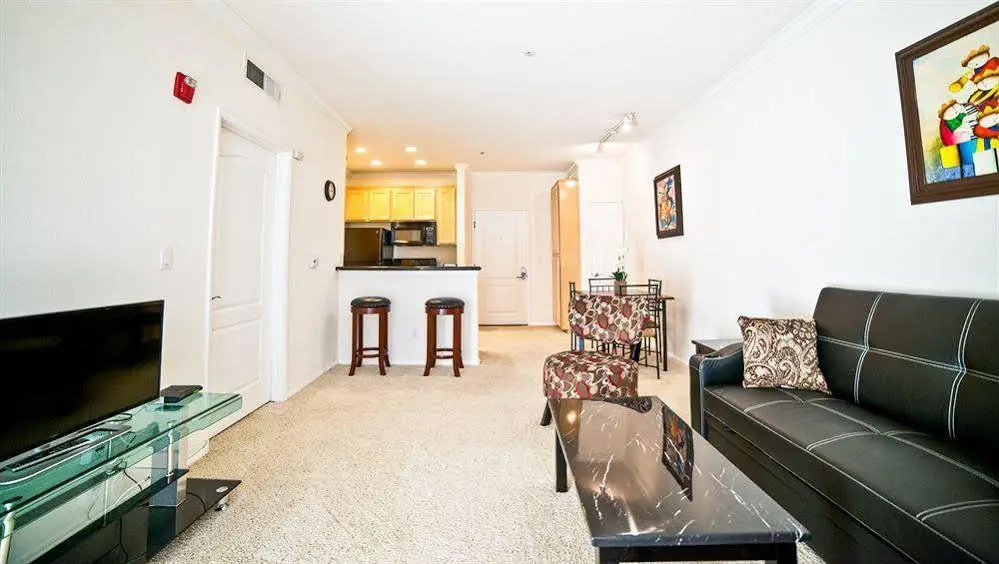 Stay City Rentals