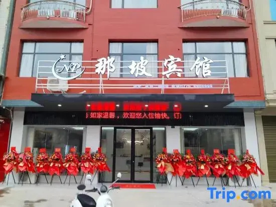 Napo Hotel