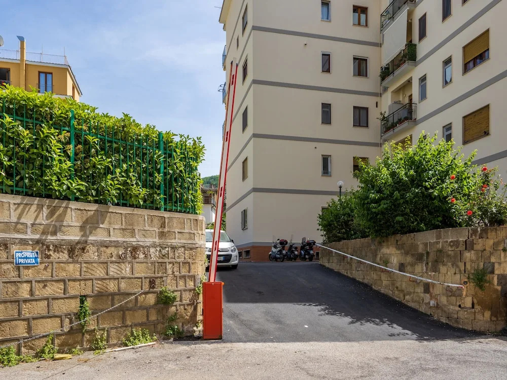 Parsano suite