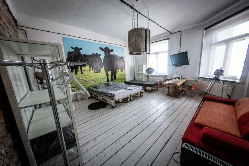 Loft Sen Pszczoły