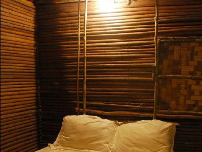 Terras Tree House