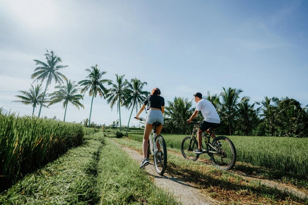 Dukuh Sebatu Villa Ubud