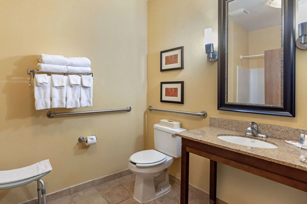 Comfort Suites McKinney-Allen