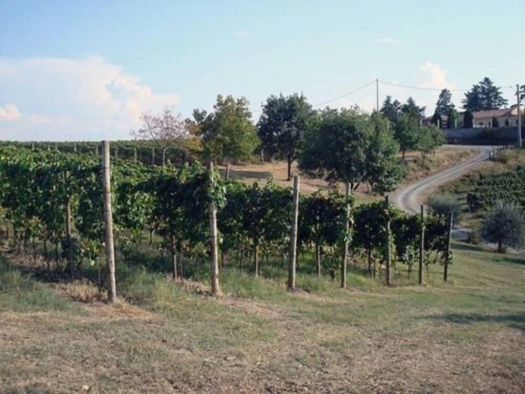 Agriturismo Costa dei Platani