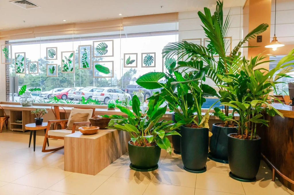 ibis Styles Curitiba Aeroporto