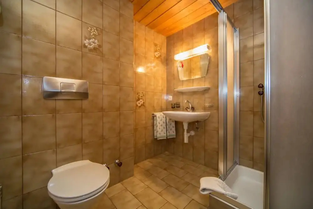Apartment Steinbock
