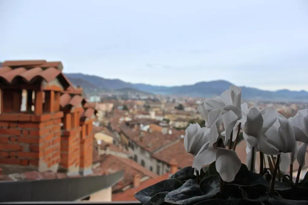 Casa Vacanza Fontana Del Delfino