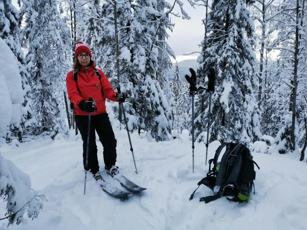 Koli Freetime Cottages