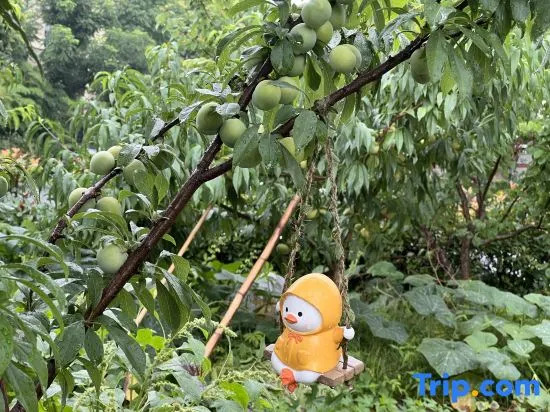 Manyue Homestay (Anji Tianyuan Jialebi Amusement Park)