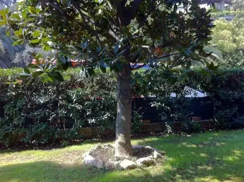 BB Casa Milla
