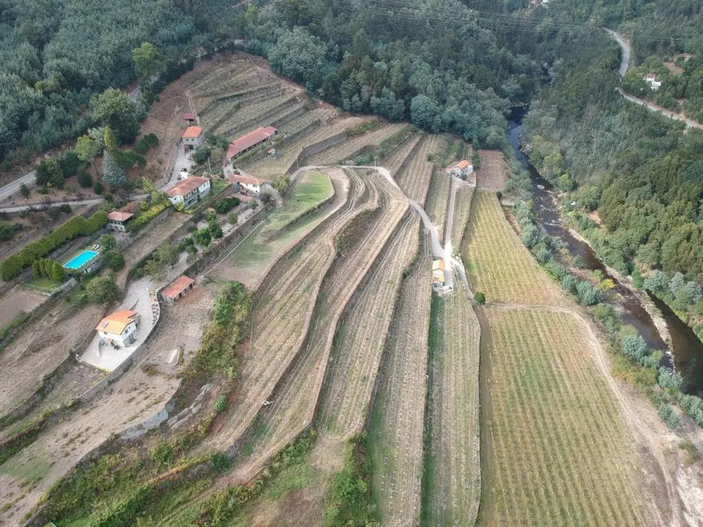 Quinta de Varzielas - Agroturismo