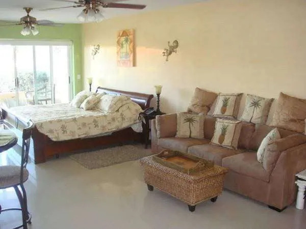 3 Br Condo With Hot Tub - Pri 8498
