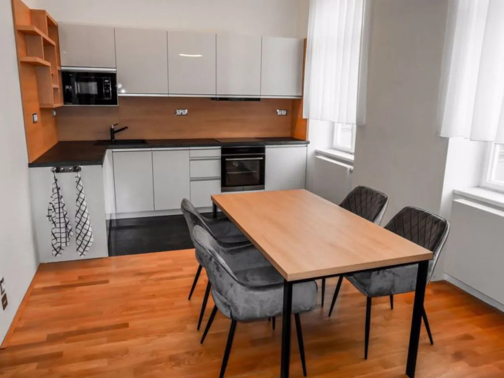 Apartment Jaselská Brno